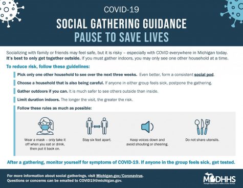 graphic by state of michigan telling people about what to do for gatherings