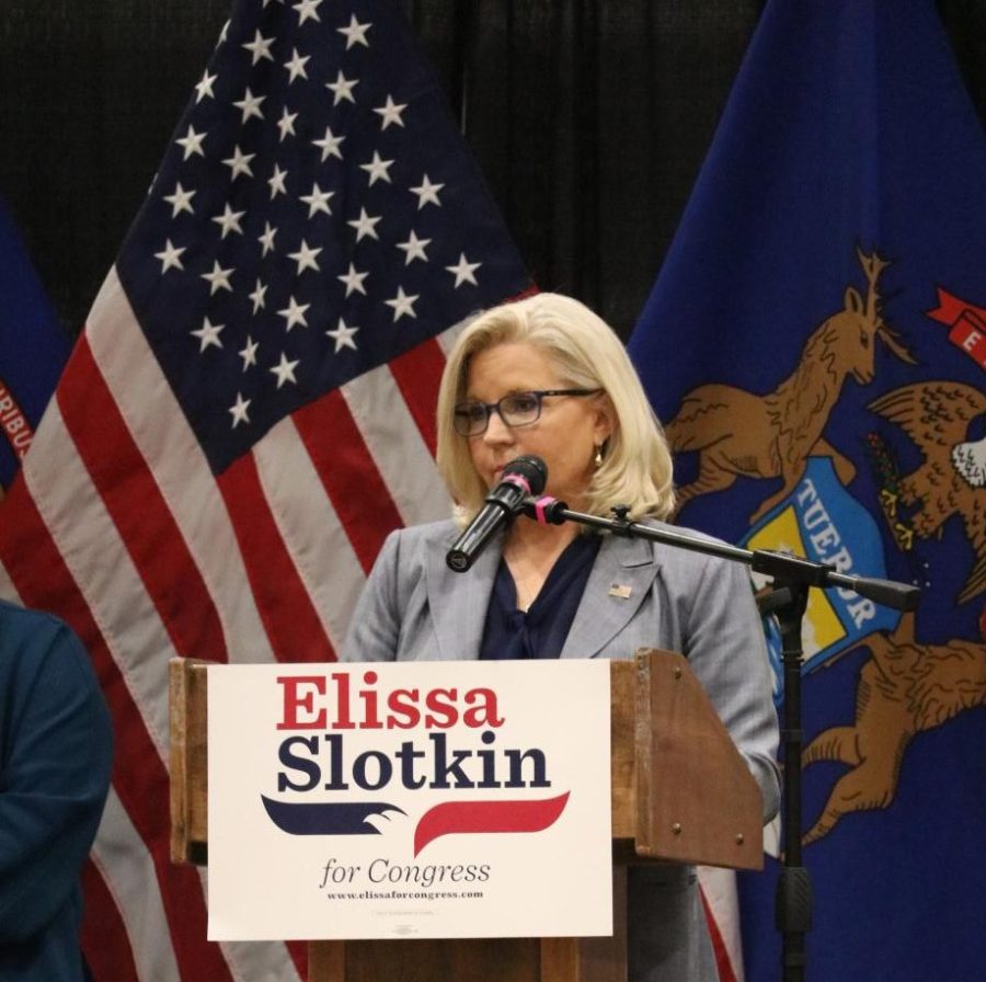 Liz Cheney speaks to the crowd attending the event Evening for Patriotism and Bipartisanship.