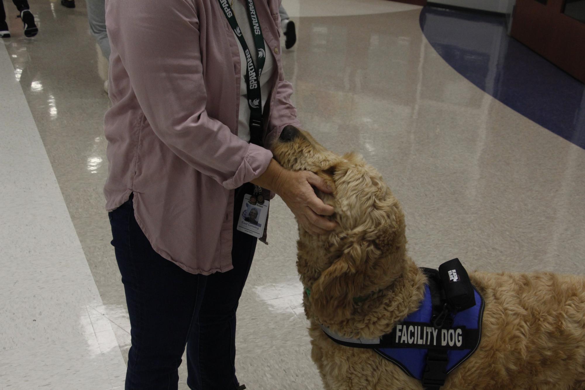 ELHS new social worker, Kristin Sesti pets her therapy dog Bear in the hallway outside the hub on Oct 29.