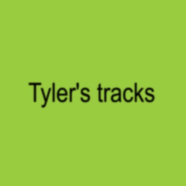 Tyler's tracks