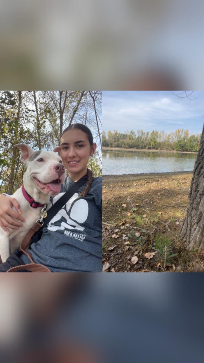 Taking a mixed breed shelter dog out for a walk, Ava Abood (12) poses
for her NHS proof picture. Abood volunteers at the Capital Area Humane
Society multiple times a month in order to fulfill her required NHS hours.