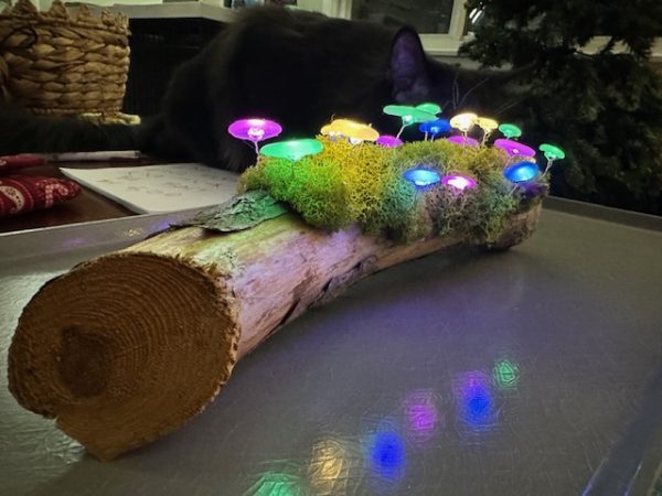 Wooden ornament cut by Vincent and decorated with moss and light up mushroom.