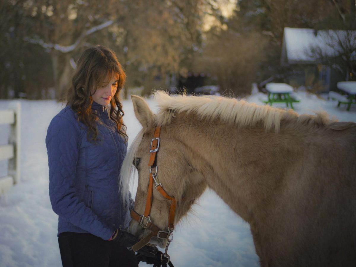 Feeding her horse Cruiser a treat, Nina Sundermann (11) gets ready for a ride on Dec 8. Sundermann had been an avid equestrian ever since she was 6 years old.